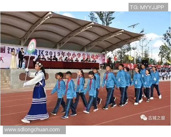 运动最新数据西安乒乓球队阵地战的热点分析与发展策略探讨